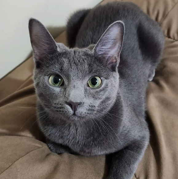 Meet your Posher, Melissa - Picture 7 of 7